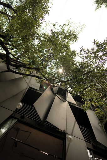 Exterior & Views 2, Boga Mexico City by Lumina, Mexico City