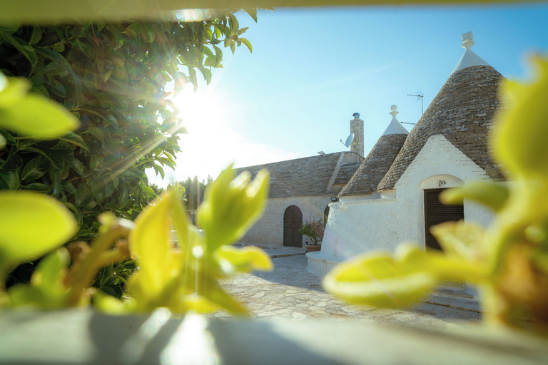 Property grounds 4, B&B I Trulli Di Anna, Bari