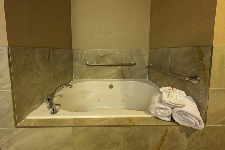 Bathroom 4, Radisson Hotel Edmonton Airport, Division No. 11