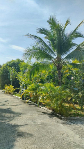 Front of property, 4 BR Villa Sawadee 500 metres to beach, Ko Samui