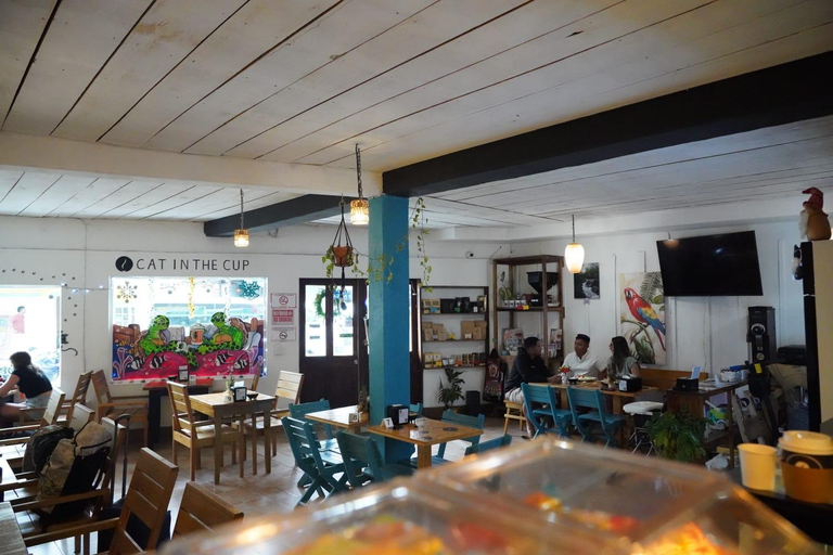 Food & Drinks 4, Tortugas Brews B&B, Bocas del Toro