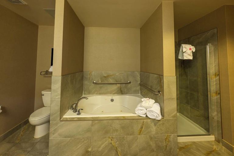 Bathroom 4, Radisson Hotel Edmonton Airport, Division No. 11
