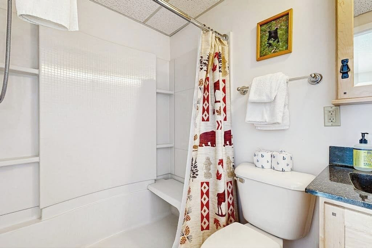 Bathroom 3, Lakefront Condo on the Golf Course With Sweeping Views and Beach Access, Piscataquis