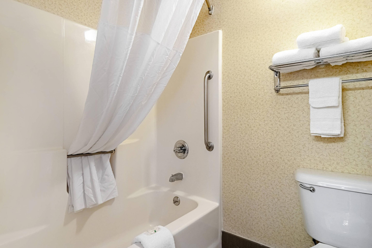 Bathroom 4, Quality Suites San Antonio Northeast, Bexar