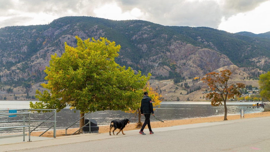 Others 5, Traveler's Motel Penticton, Okanagan-Similkameen