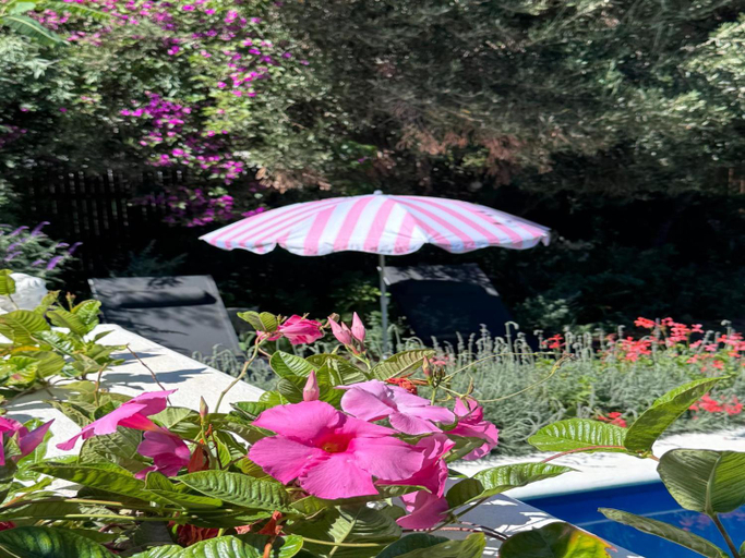 Others 2, The Montagu Coach House, Cape Winelands