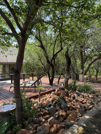 Others 4, Warthogs Rest, Mopani