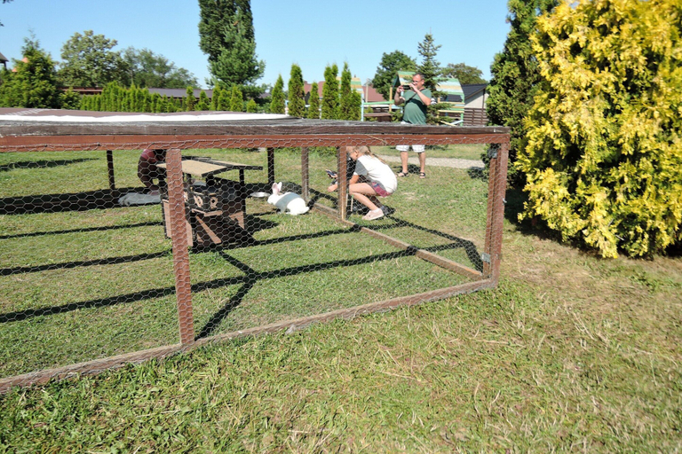 View from property 2, Cottages for 5 People With a Swimming Pool, Kamień