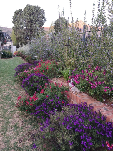 Others 3, The Clarens House, Thabo Mofutsanyane