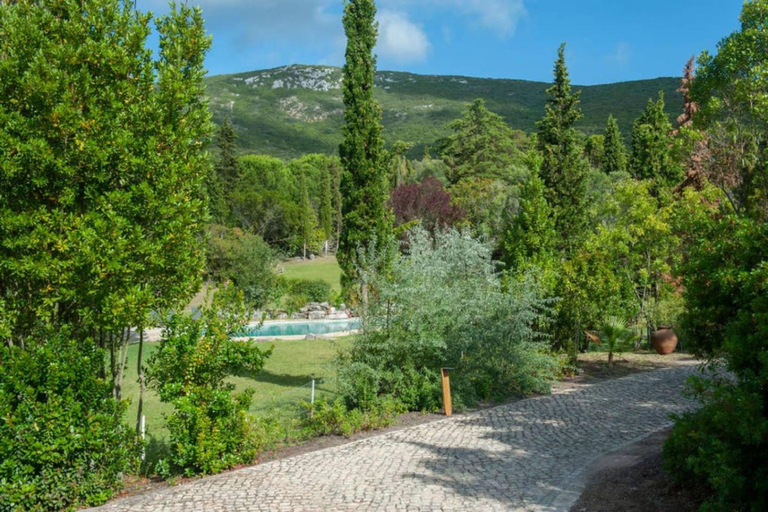 5, Manor House in Azeitao, Setúbal