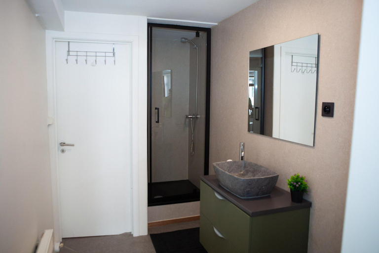 Bathroom 2, Central Verviers Family Apartment, Liège
