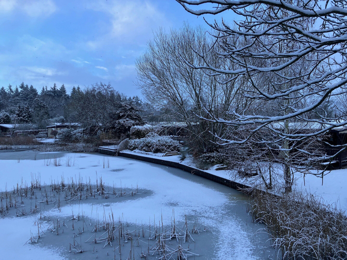 View from property 2, Cozy Holiday Home in Stegeren, Ommen