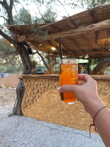 Food & Drinks 5, Borsh Olive Camping, Sarandës