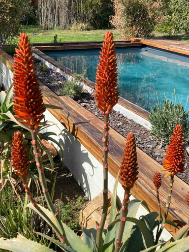 Sport & Beauty, Karoo Feels, Central Karoo