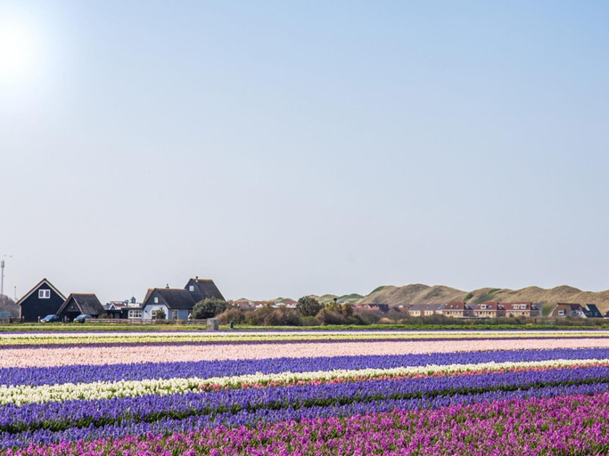 View from property 3, Cozy Vacation Rental in a Former Farmhouse, Surrounded by Nature, Zijpe