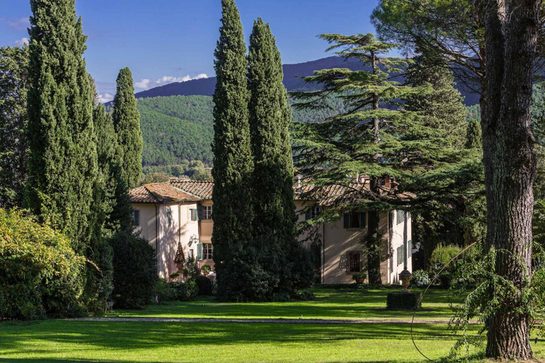 3, Villa Rosita in Lucca, Lucca