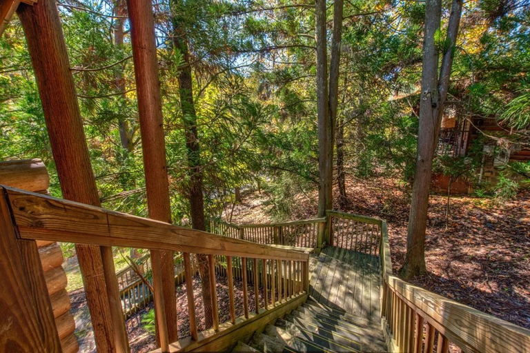 Property grounds, Unforgettable Dreams, Sevier