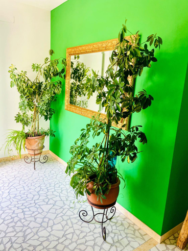 Others 5, Residenza Ca Donzella, Verona