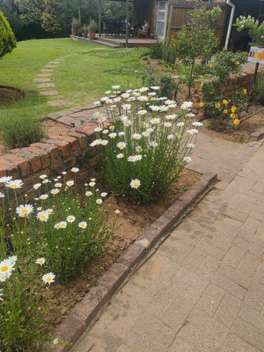 Others 2, Palmboom Cottage at Sielerus by Horeb, Thabo Mofutsanyane