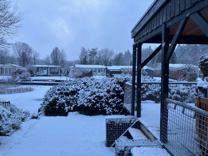 Garden 5, Cozy Holiday Home in Stegeren, Ommen