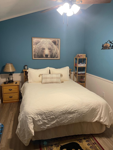 Room 4, Cozy Hollow Cabin, Jefferson