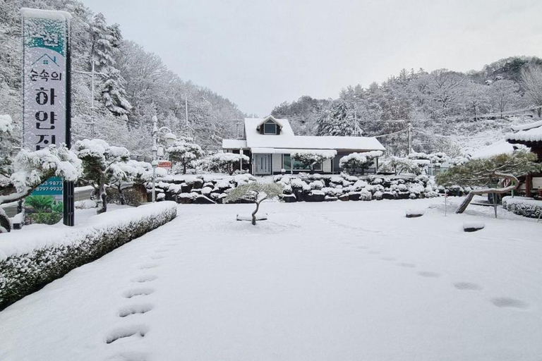 Exterior & Views 1, Gangchon White House in the Forest, Chuncheon