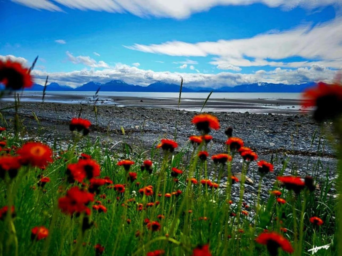 Others 5, Oceanhouse, Kenai Peninsula