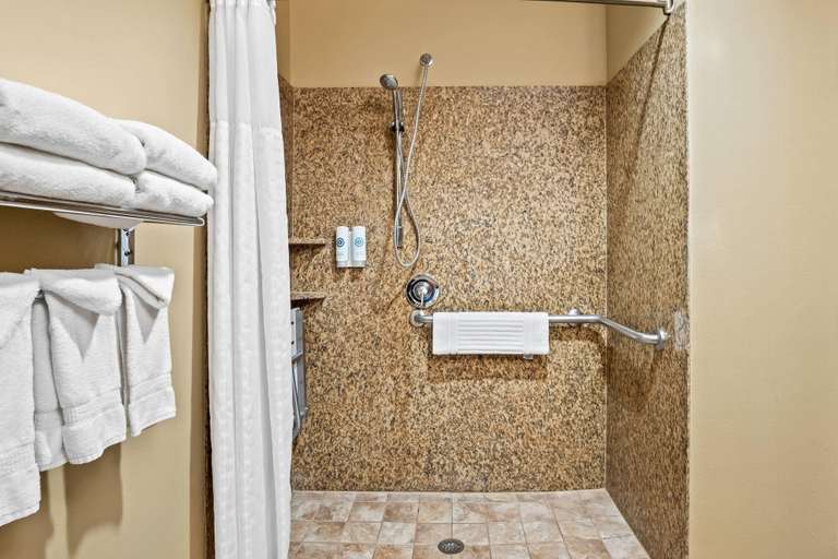 Bathroom 4, Comfort Suites Frisco, Collin