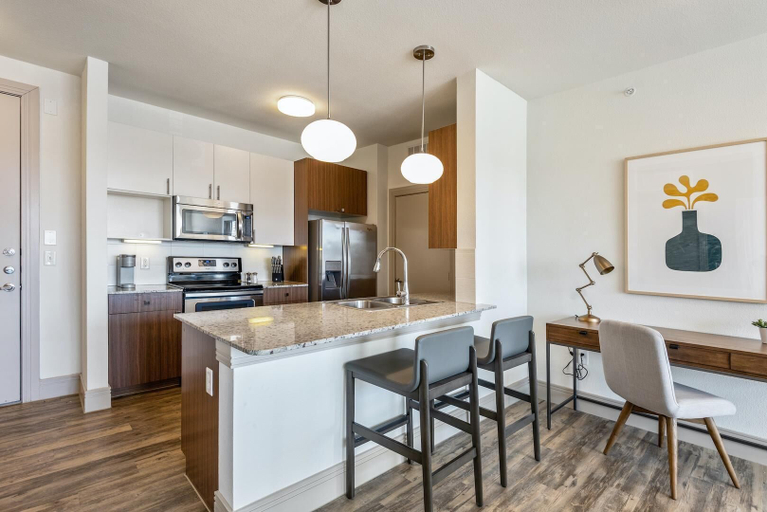 Interior 5, Landing Stunning 1BD in Far West Side, Bexar