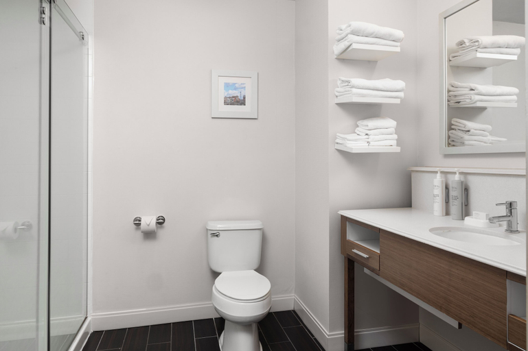 Bathroom 4, Hampton Inn Morristown, Hamblen