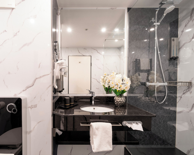 Bathroom 5, PLAZA INN Bruchsal, Karlsruhe