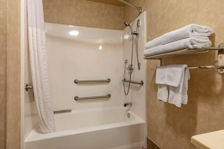 Bathroom 4, Comfort Inn & Suites Russellville I-40, Pope
