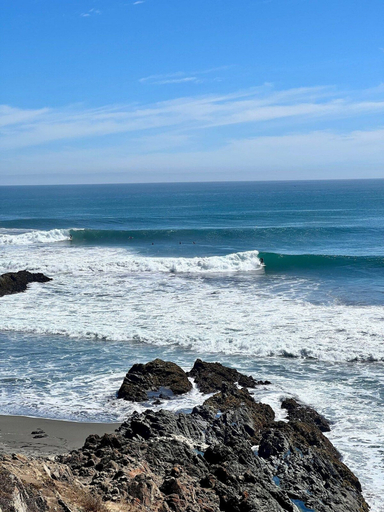 Beach 3, Olas de Buchupureo - con vida de campo, Ñuble