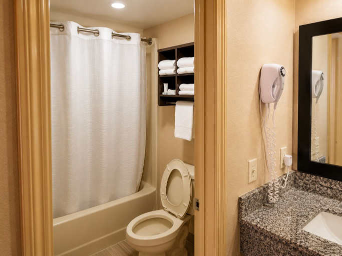Bathroom 5, Legacy Inn Sumner, Sumner