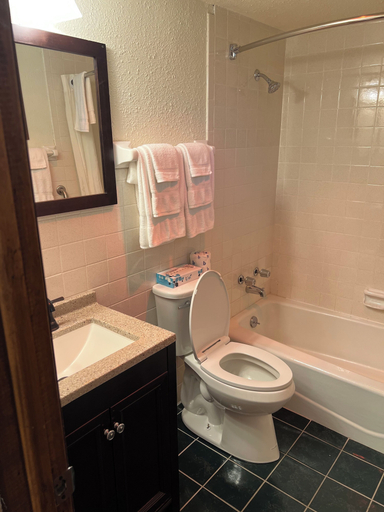 Bathroom 4, Amber's Inn & Suites, Columbia