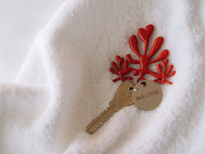 Miscellaneous 4, AKA LODGE by THE TERRACE HOTELS, Zamami