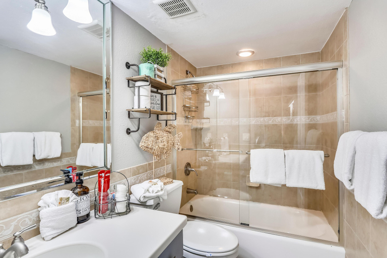 Bathroom 4, Caprice 401, Pinellas