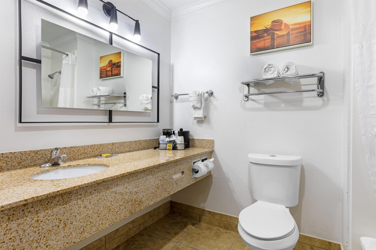 Bathroom 4, Best Western Plus Southpark Inn & Suites, Smith