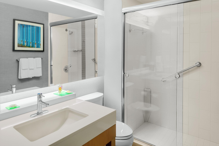 Bathroom 4, Hyatt Place Athens/Downtown, Clarke