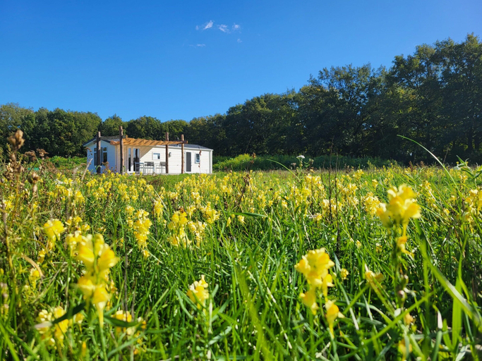 View from property 5, Modern Pet-friendly Retreat in Limburg, Heythuysen