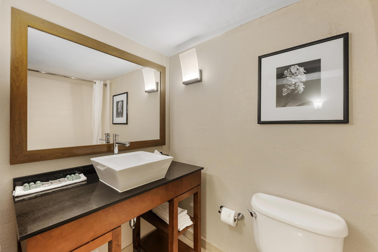 Bathroom 5, Best Western Alamo Suites, Bexar