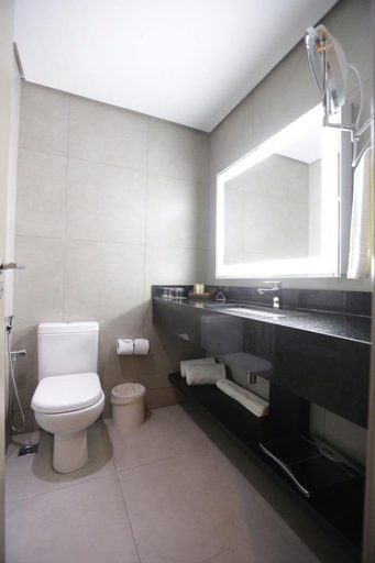 Bathroom 5, Comfort Suites Flamboyant, Goiania