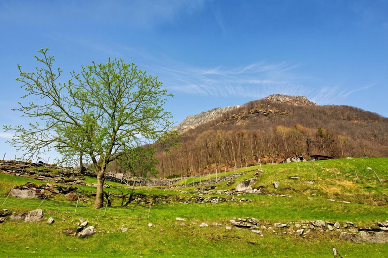 View, Rustico Esterina - Val Verzasca - Happy Rentals, Locarno