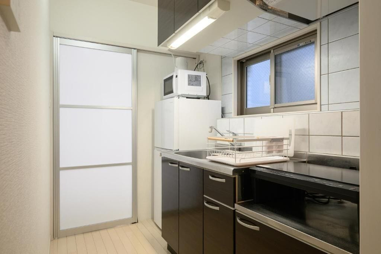 Private kitchen, Wilshire APT Hotel, Miyazaki