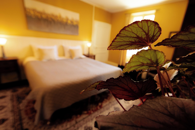 Bedroom 2, Chambres d hotes la Joyeuse, Cher