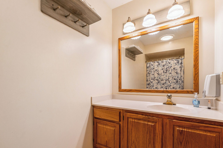 Bathroom 4, Hotel Nashville, Brown