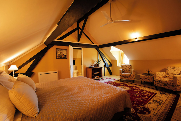 Bedroom 4, Chambres d hotes la Joyeuse, Cher
