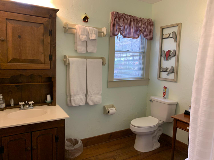 Bathroom, Folkestone Inn, Swain