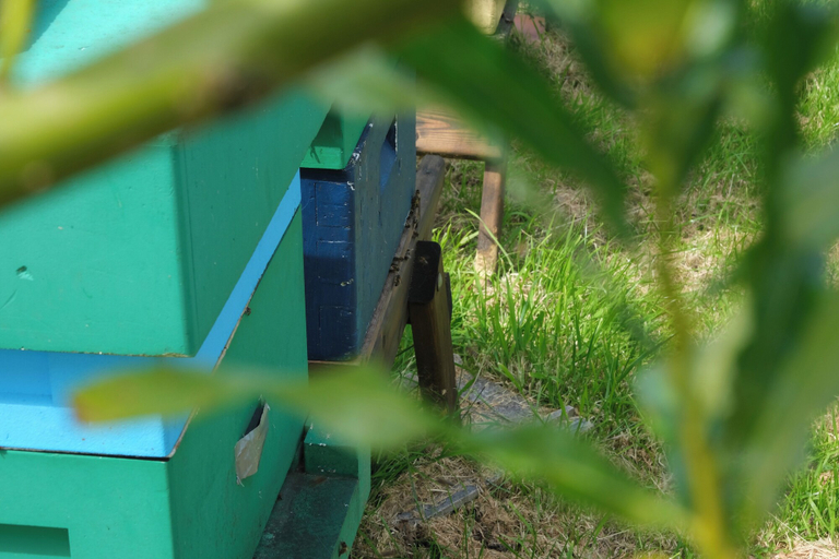 Miscellaneous 3, Bridge's Cottage - Hot tub - Plunge Pool