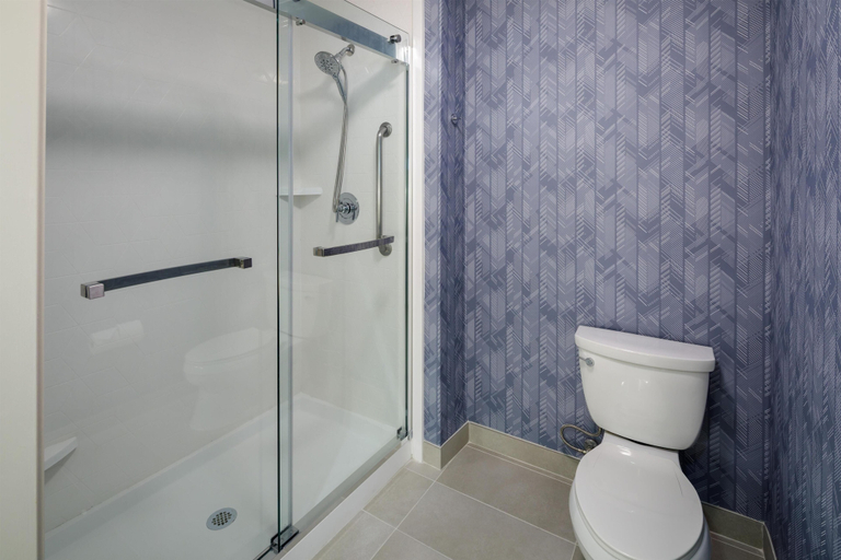 Bathroom 4, Homewood Suites by Hilton Denver Tech Center, Arapahoe